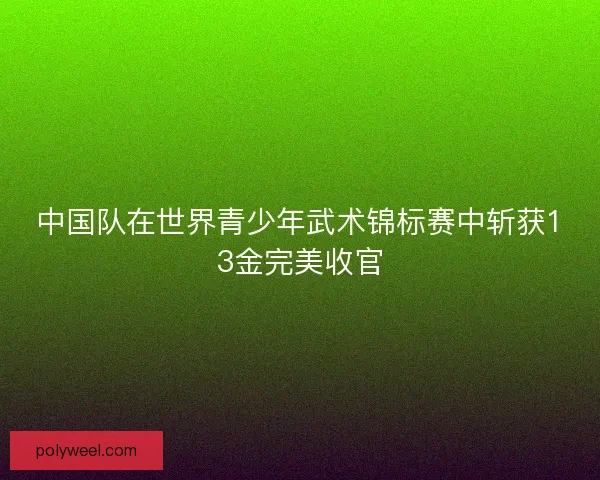 中国队在世界青少年武术锦标赛中斩获13金完美收官