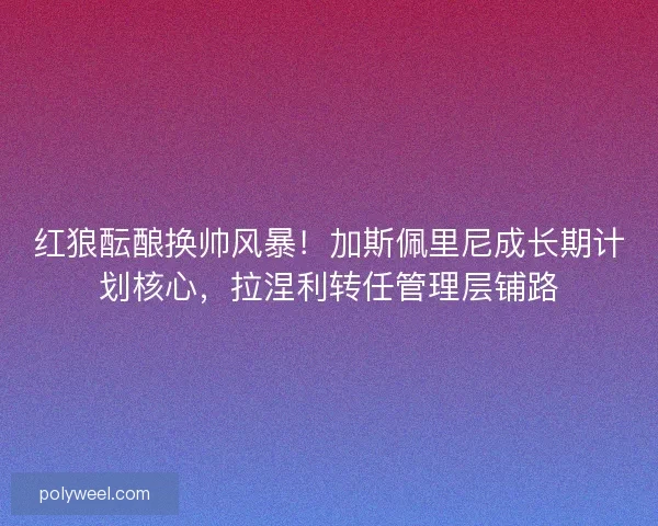 红狼酝酿换帅风暴！加斯佩里尼成长期计划核心，拉涅利转任管理层铺路